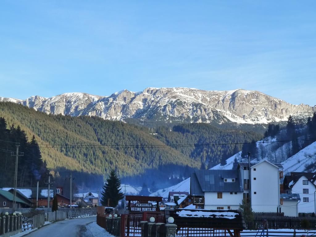 Ranger Chalet Hotel Moeciu De Sus Room photo